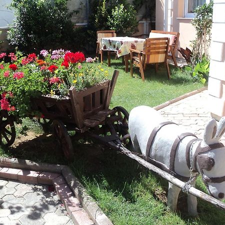 Apartments Dreamy - Free Parking Nin Εξωτερικό φωτογραφία